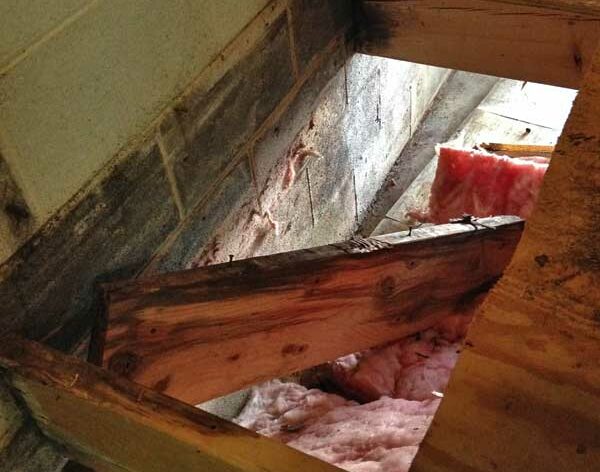 Clean & Dry can fix major issues like this that occur from mold remediation in Boone, NC