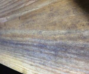 Great example as to why you need mold remediation in your Boone, NC, home