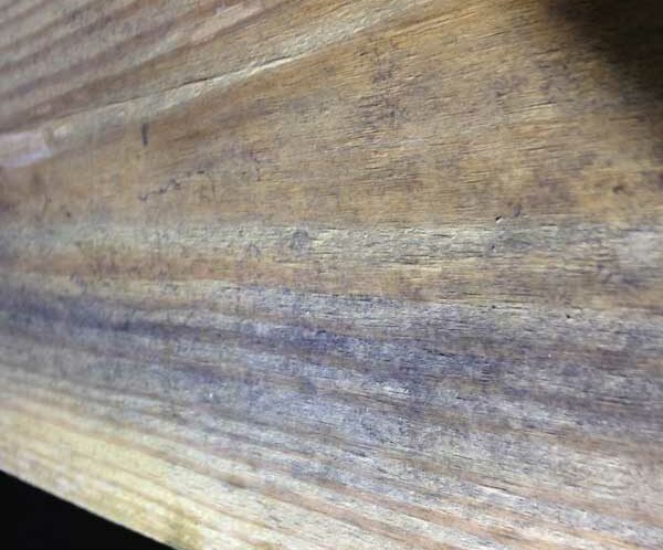 Great example as to why you need mold remediation in your Boone, NC, home